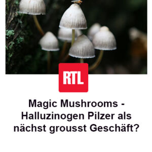 Magic Mushrooms – Halluzinogen Pilzer als nächst grousst Geschäft?